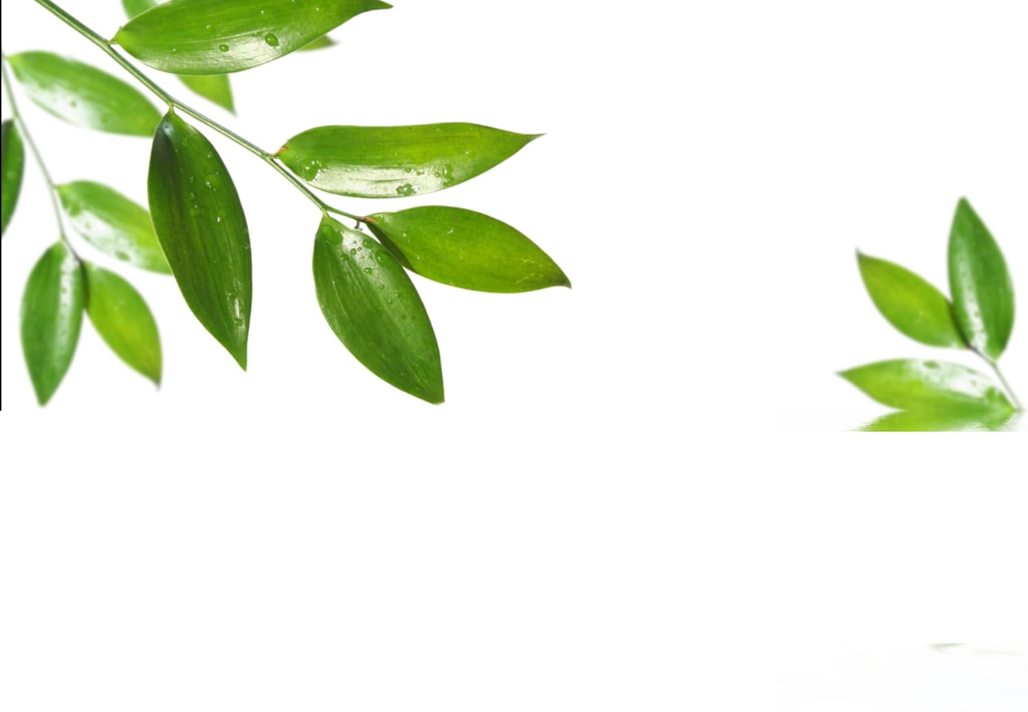 Image of Calmat Image of Calmat